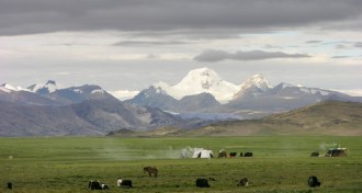 Tibetan Plateau