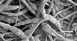 flame resistant fibers