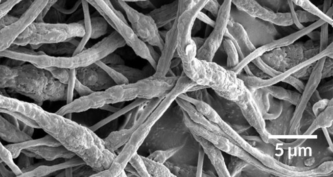 flame resistant fibers