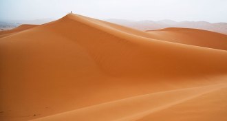 Sahara desert