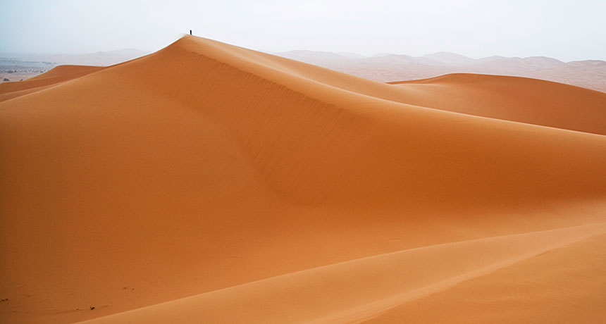 Sahara desert