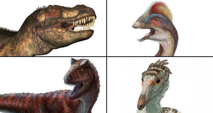 dino heads