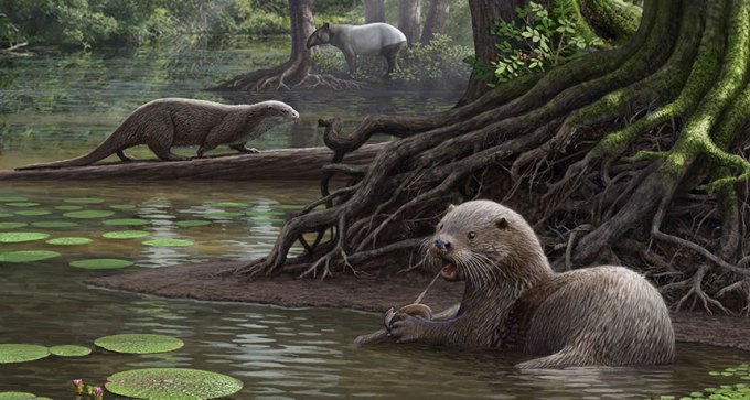 illustration of giant otters