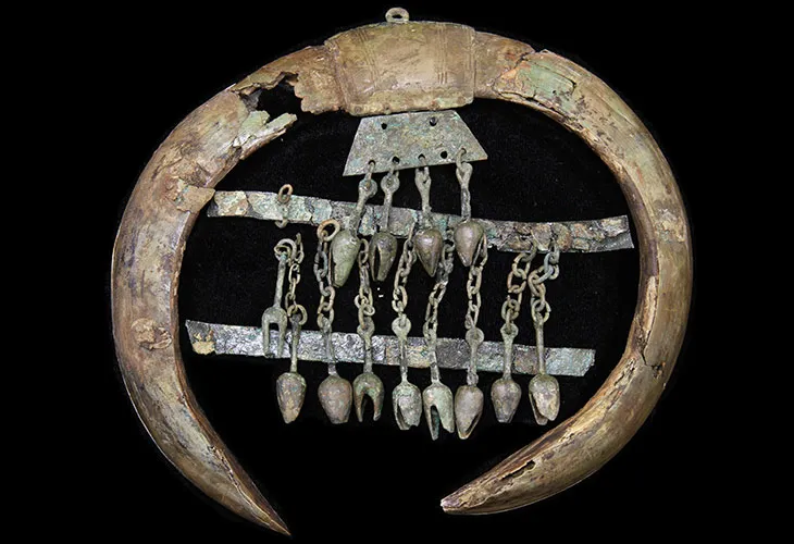 Iron Age boar tusks