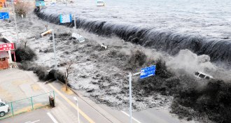 2011 Japan tsunami
