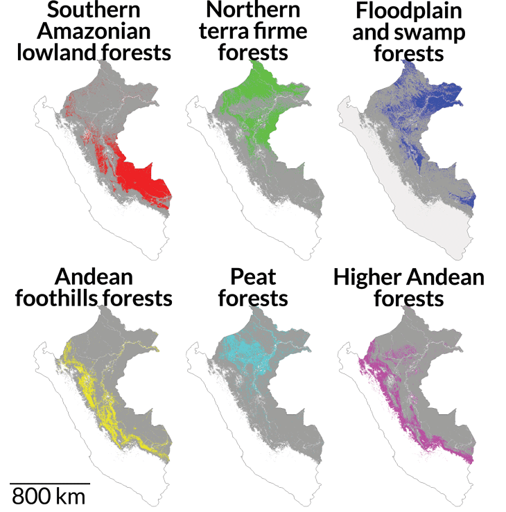 illustration of six forest functional groups