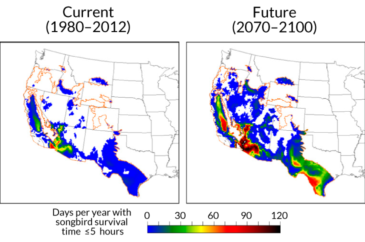 songbird death risk maps