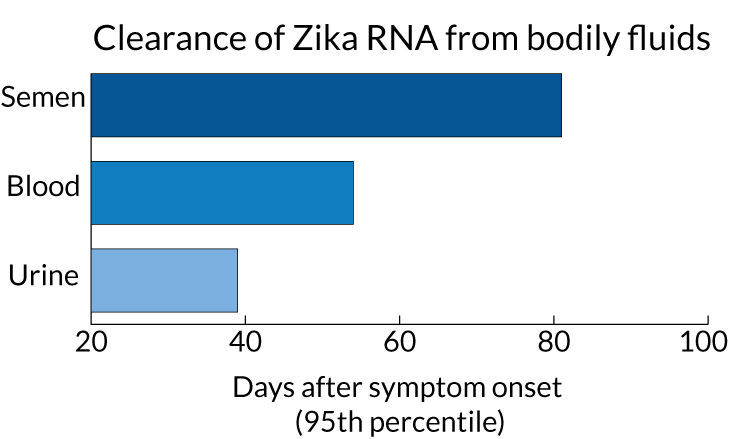 graph of how long it takes for zika to clear semen, blood and urine