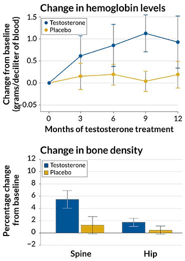 graph of results after 12 month treatment with testosterone gel