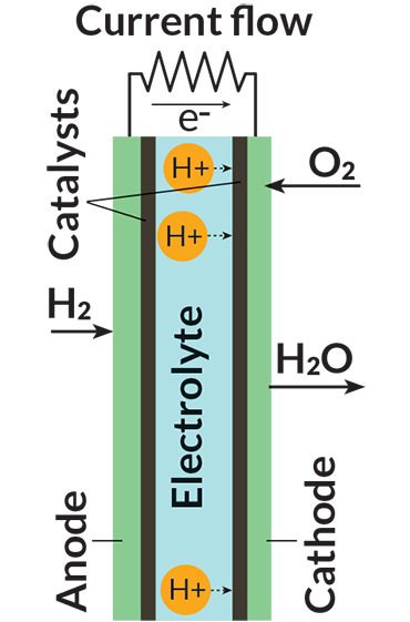 fuel cell