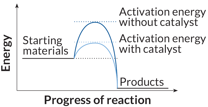 Catalyst activation energy graph