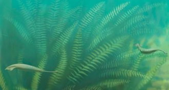 illustration of Tully monster