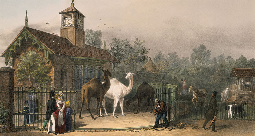 Gardens of the Zoological Society of London