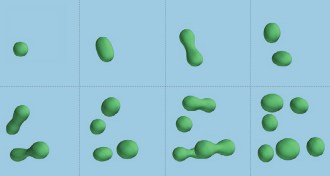 chemicals within a primordial soup
