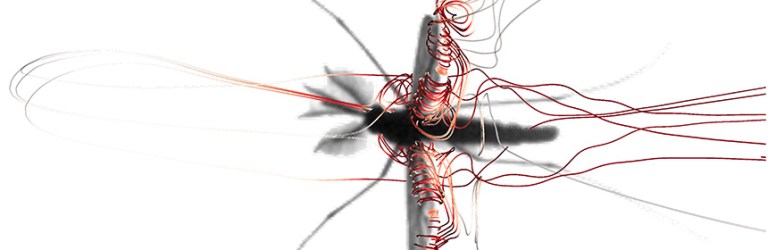 mosquito wing rotation