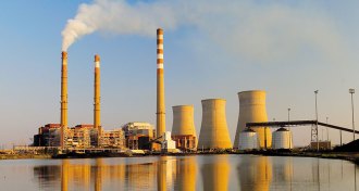 Paradise Fossil Plant