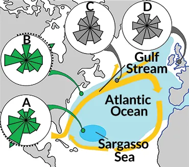 map of Atlantic ocean eel migration