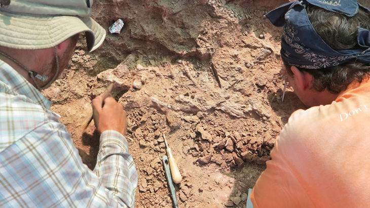 paleontologists looking at fossils