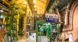 LHCb experiment