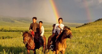 Mongolian horses
