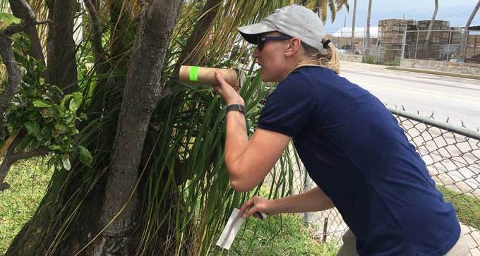 Catherine Pruszynski 