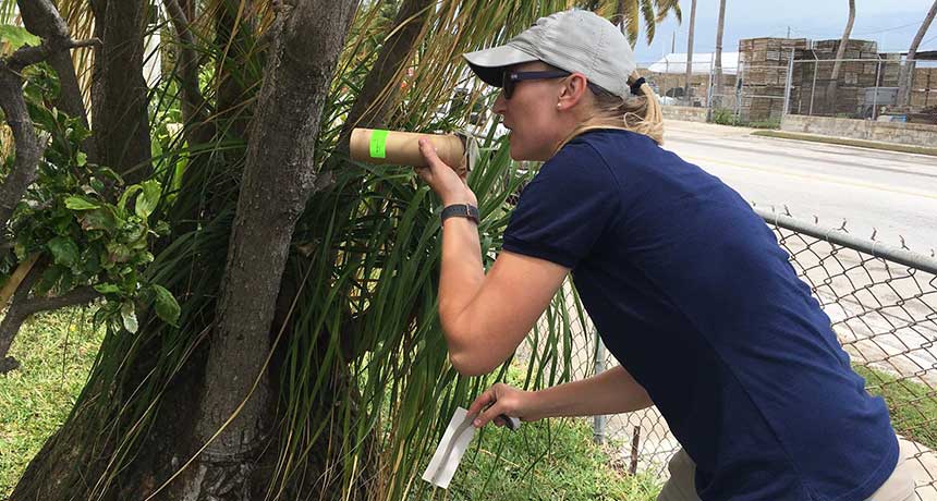 Catherine Pruszynski 