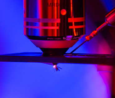 fruit fly navigation