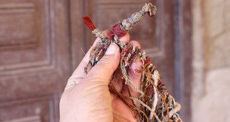 bundle of animal-hair cords