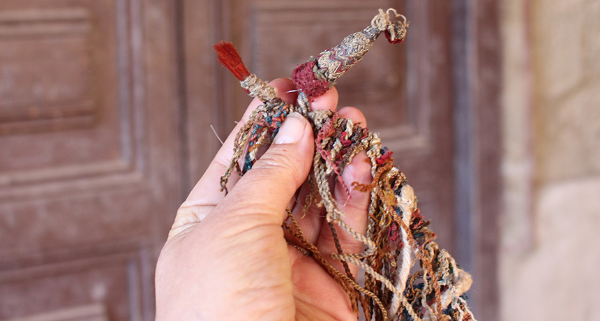 bundle of animal-hair cords