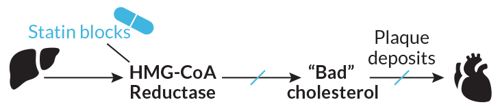 cholesterol blockers