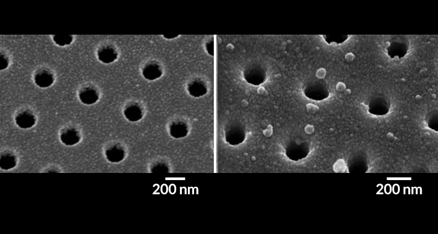 antibody-coated chip