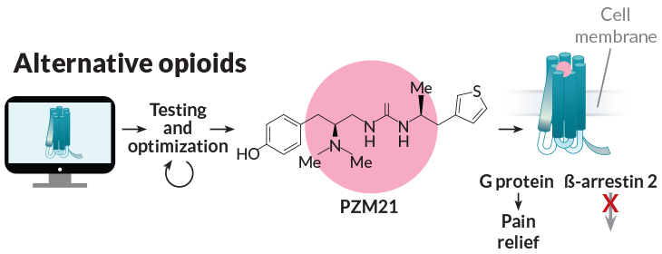 alternative opioid PZM21 pain relief