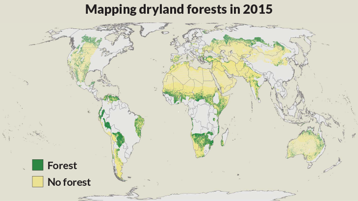 map of forested and arid areas on Earth