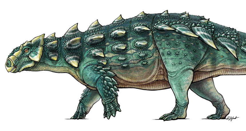 Zuul dino skull and illustration