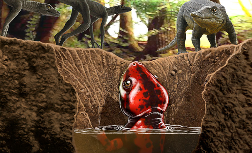 illustration of Chinlestegophis