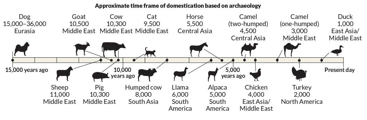 domestication timeline