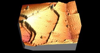 microscope image of copper