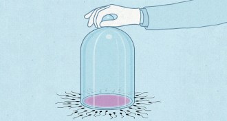 illustration of blocking fertilization