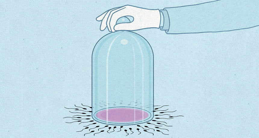 illustration of blocking fertilization