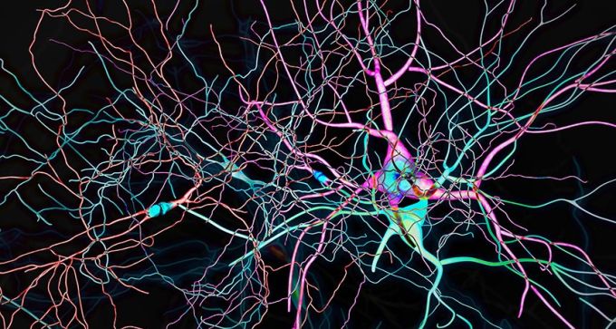 illustration of neurons