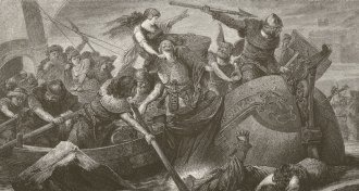 Viking raid illustrated