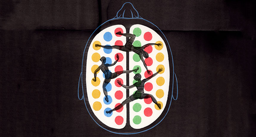 illustration of brain flexibility