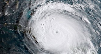 hurricane Irma