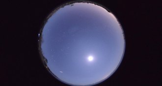 Phoenicid meteor shower