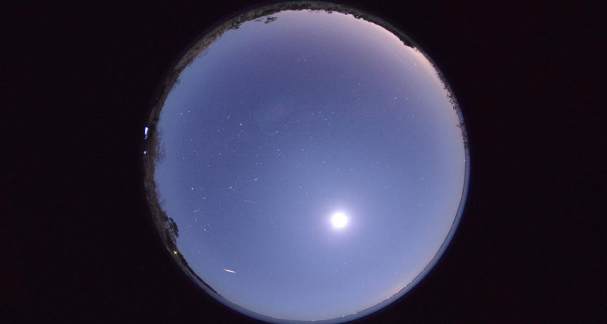 Phoenicid meteor shower