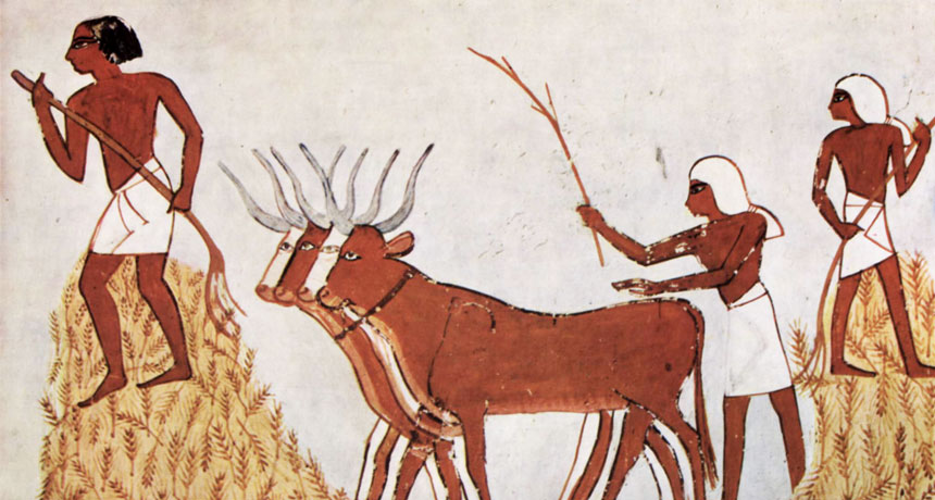 Egyptian agricultural mural