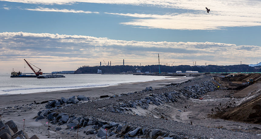 Fukushima Dai-ichi nuclear plant