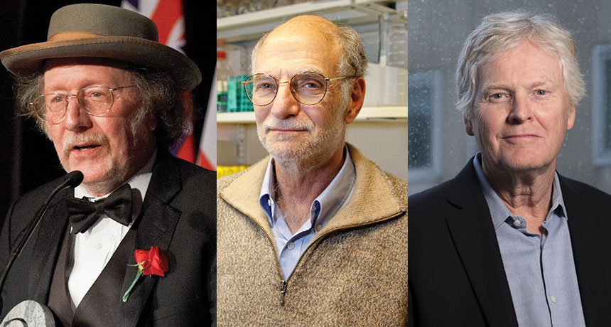 Hall, Rosbash and Young