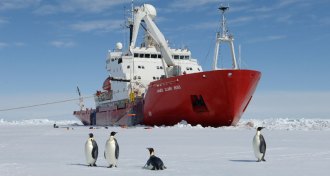 RRS James Clark Ross