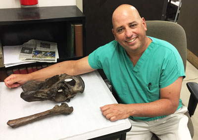 saber tooth cat pelvis